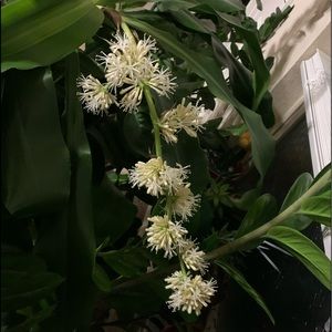 Meet your Posher, Doanh